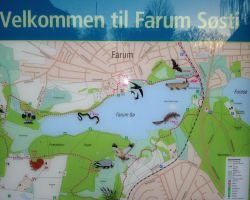 Farum Sø - Søsti