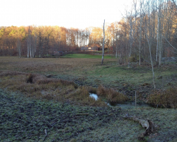 Mølleåen - Klevad Eng